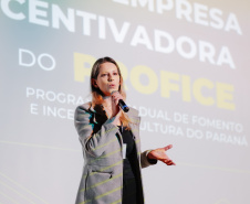 Cultura apresenta mecanismos do Profice para contabilistas do Paraná