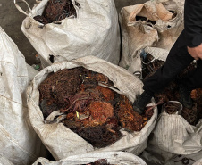 PCPR apreende 10 toneladas de fio de cobre em Pinhais 