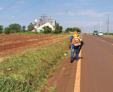 Conservação da faixa de domínio das rodovias estaduais prevê investimento de R$ 768,3 mi 