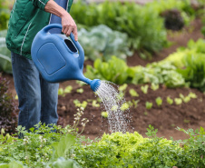 Produtores de orgânicos do Paraná serão premiados por boas práticas no campo