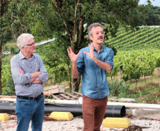 Revitalização da vitivinicultura paranaense é ressaltada em evento internacional