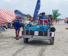 Equipes trabalham na limpeza das praias do Paraná  Material recolhido das praias, em limpeza diária