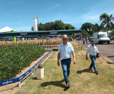 Dias de Campo divulgam inovação e boas práticas agrícolas no Oeste do Paraná