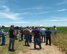 Dias de Campo divulgam inovação e boas práticas agrícolas no Oeste do Paraná