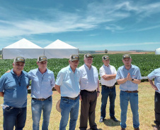 Dias de Campo divulgam inovação e boas práticas agrícolas no Oeste do Paraná