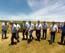 Dias de Campo divulgam inovação e boas práticas agrícolas no Oeste do Paraná