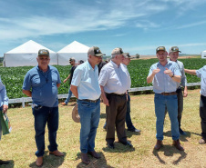 Dias de Campo divulgam inovação e boas práticas agrícolas no Oeste do Paraná