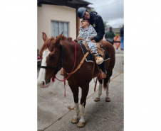 Terapia com cavalos oferecida pela PMPR colabora na qualidade de vida de pessoas com deficiência 