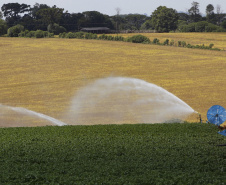 Governador sanciona lei que institui políticas de segurança hídrica na agricultura no Paraná