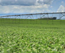 Governador sanciona lei que institui políticas de segurança hídrica na agricultura no Paraná
