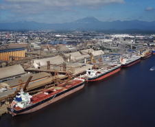  Importação cresce 14% nos portos paranaenses em 2024
