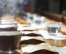 Com apoio do Tecpar, empreendedores vão produzir água especial para o preparo de cafés