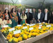 Cerro Azul promove Festa da Ponkan com apoio do Governo do Estado