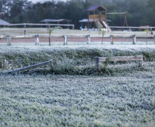 Após recorde de frio, temperatura sobe e Paraná volta a ter veranicos de inverno