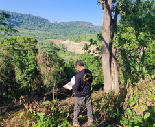 Avanço na fiscalização por parte do IAT fez com que diminuísse a execução de crimes ambientais como desmatamento na região de Maringá.