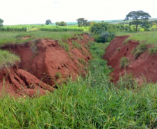 Rodovia de Tapejara vai receber melhorias de drenagem e contenção de erosão 