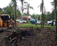 Avanço na fiscalização por parte do IAT fez com que diminuísse a execução de crimes ambientais como desmatamento na região de Maringá.