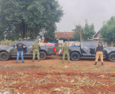 Policiais militares apreendem mais de 1,7 toneladas de substância análoga à maconha em Toledo