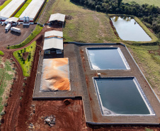 Série de reportagens mostra transformação no campo com avanço da energia renovável