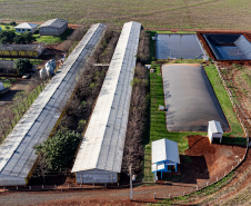 Série de reportagens mostra transformação no campo com avanço da energia renovável