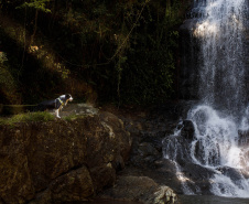 SETU DESCONTOS FEIRA NACIONAL DO TURISMO