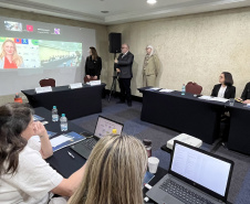 SESA REUNIÃO FEBRE AMARELA