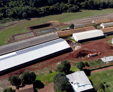 Com destaque para grãos e proteínas animais, VBP mostra vocações regionais e diversidade do agro do Paraná