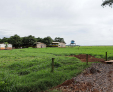 Vizinhos compartilham biodigestor para produzir energia limpa e manejar resíduos da suinocultura