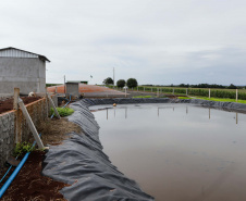 Vizinhos compartilham biodigestor para produzir energia limpa e manejar resíduos da suinocultura