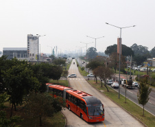 Estado de alerta: Paraná atinge momento mais crítico para casos de queimadas florestais