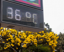 Estado de alerta: Paraná atinge momento mais crítico para casos de queimadas florestais