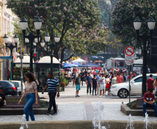 Estado de alerta: Paraná atinge momento mais crítico para casos de queimadas florestais