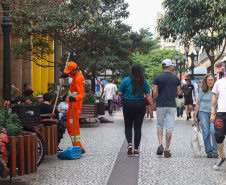 Estado de alerta: Paraná atinge momento mais crítico para casos de queimadas florestais