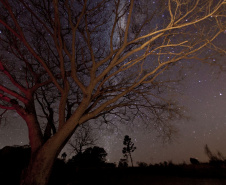 Caminhada Noturna no Parque Estadual de Vila Velha se une ao evento global da NASA