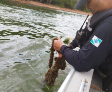 Nova Portaria, em razão da estiagem no Estado, proíbe a pesca em quatro Bacias Hidrográficas do Paraná