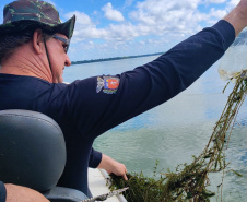 Nova Portaria, em razão da estiagem no Estado, proíbe a pesca em quatro Bacias Hidrográficas do Paraná