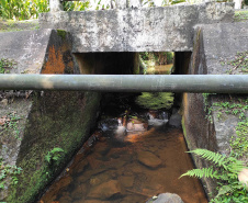 Licitação para inspecionar pontes e viadutos em rodovias estaduais tem resultado final 