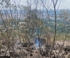 Para tentar amenizar os focos de incêndios ambientais, IAT suspendeu a queima controlada no campo