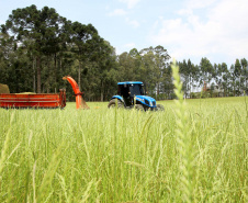 Governo renova Fundo de Aval Rural para garantia em financiamentos à agricultura familiar