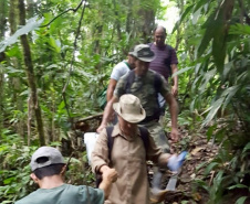 Uma equipe da Secretaria de Estado da Saúde está em Antonina, no Litoral, para investigar o local em que foram encontrados três macacos mortos e uma carcaça mais antiga, diante da possibilidade de que os animais tenham morrido por causa da febre amarela.  -  Foto: Divulgação SESA