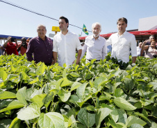 Governador Carlos Massa Ratinho Junior durante Coletiva de Imprensa no Show Rural.  Cascavel, 07/02/2019  -  Foto: Arnaldo Alves/ANPr