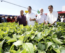 Governador Carlos Massa Ratinho Junior durante Coletiva de Imprensa no Show Rural.  Cascavel, 07/02/2019  -  Foto: Arnaldo Alves/ANPr