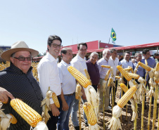 Governador Carlos Massa Ratinho Junior durante Coletiva de Imprensa no Show Rural.  Cascavel, 07/02/2019  -  Foto: Arnaldo Alves/ANPr