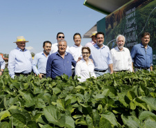 O governador Carlos Massa Ratinho Junior recebe a ministra da Agricultura, Pecuária e Abastecimento, Tereza Cristina, no Show Rural Coopavel.  -  Cascavel, 08/02/2019  -  Foto: Arnaldo Alves/ANPr