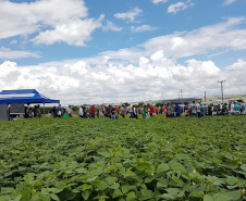 Ao menos 1.600 produtores, além de estudantes de colégios agrícolas e universidades, estão sendo esperados na 20ª Semana de Campo sobre Feijão e Milho, de 12 a 15 de março, em Ponta Grossa. Foto: Divulgação/SEAB