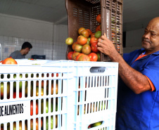 Por meio do Banco de Alimentos da Ceasa, hortigranjeiros são reaproveitados anualmente, evitando o desperdício e garantindo a segurança alimentar de cerca de 194 mil pessoas.Foto: Gilson Abreu/ANPr