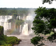 Apenas no Parque Nacional do Iguaçu, o único a manter registros da entrada de turistas, foram 26,1 mil visitantes em 2017 e 32,2 mil no ano passado. No parque estão as Cataratas do Iguaçu, o principal atrativo turístico paranaense. Além disso, o que mais emplaca por aqui são os destinos culturais e religiosos, cada um com uma fatia de 22% da movimentação do setor. Foto: Jaelson Lucas/ANPr