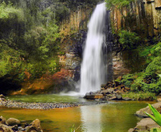 Cachoeira Chicão, em Faxinal. Foto: Prefeitura de Faxinhal. Foto: Prefeitura de Faxinal