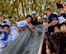 O Governo do Estado, por meio da Secretaria de Desenvolvimento Sustentável e Turismo, realizou neste final de semana (23-24) soltura de peixes, plantio de árvores e atividades de educação ambiental em Campo Mourão, Formosa do Oeste, Quarto Centenário, Alto Paraíso / Porto Figueira.  -  Curitiba, 25/03/2019  -  Foto: Dênis Ferreira Netto/Desenvolvimento Sustentável