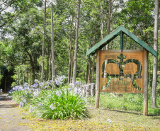 Fazenda Monte Bello, em Ribeirão Claro. Foto: Divulgação/Rota do Café